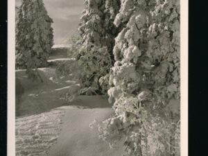 Winter im Schwarzwald [005-2749