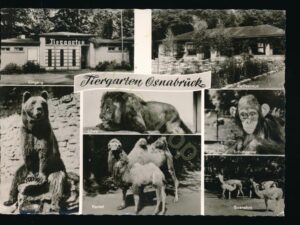 Osnavrück - Tiergarten - ZOO [005-2948