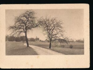 Winteranfang - Phot Gebr Fretz AG [005-2962