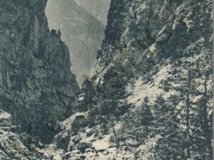 Les Alpes - Queyras [005-3240