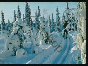 Norge - Vinter i Norge [005-3358