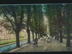 Düsseldorf - Seuszer-Allee im Hofgarten [005-3596