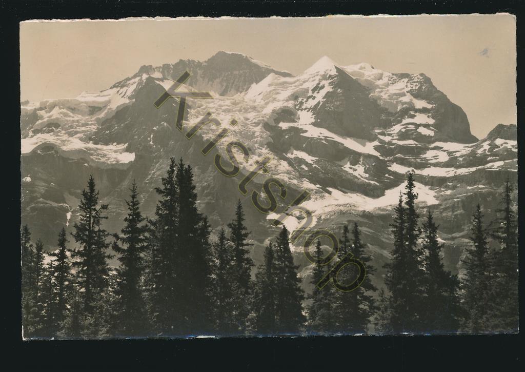 KRST005-3631_0.jpg Im Gebiet der Jungfraubahn [005-3631