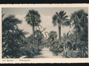 Bad Pyrmont - Palmengarten [005-3664