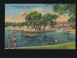 Beach and Pool at Sulphur Springs Near Tampa - Florida [005-3855