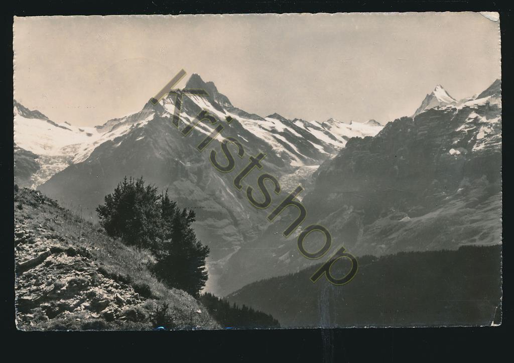 KRST005-4135_0.jpg Schynige Platte - Schreckhorn [005-4135