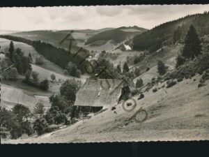 Das Nußbachtal bei Triberg i Schwarzwald [005-4139