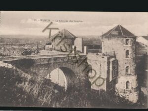 Namur - Le Château des Comtes [005-4156