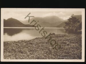 Wordsworth's Daffodils by Ullswater [005-4840