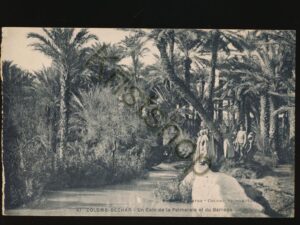 Colomb-Béchar - Un Coin de la Palmerale et du Barrage [005-4880