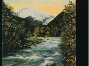 See Washinton First - Mount Adams [005-4935