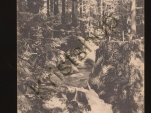 Gerardmer - Saut des Cuves - La Cascade [005-4952