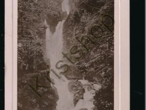 Stock Chyll Force [005-5129