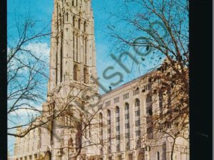 New York City - Riverside Church [005-5177