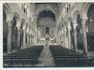 Bari - Interno della Basilica Cattedrale [005-5243