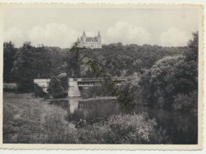 Château Royal de Ciergnon et la Lesse [005-5270