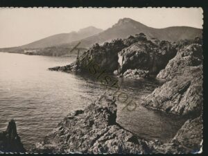 La Coriche D'Or [005-5319