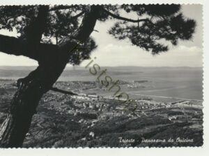Trieste - Panorama da Opicina [005-5494
