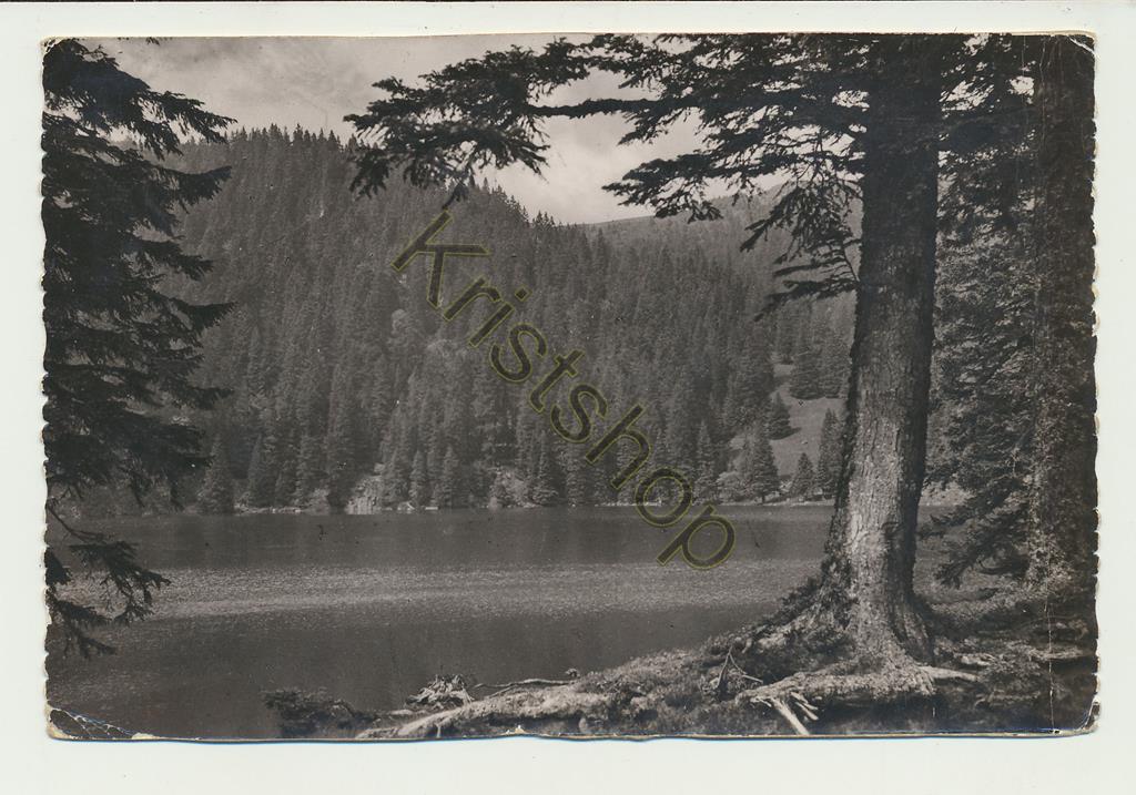 KRST005-5517_0.jpg Vallée de Munster - Le Lac de Soultzeren [005-5517