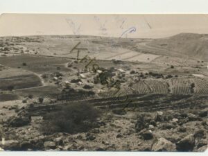 Near Ein Gedi [005-5528