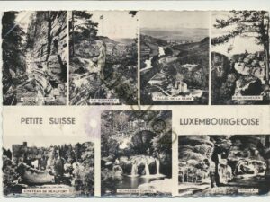 Petit Suisse Luxembourgeoise [005-5561