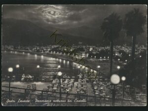 Sestri Levante - Panorama notturno dai Castelli [005-5631