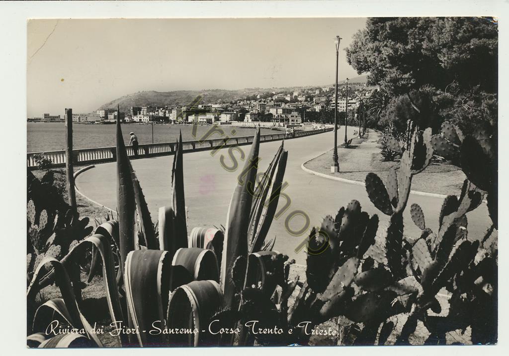 KRST005-5661_0-1.jpg Sanremo - Corso Trento e Triesto [005-5661