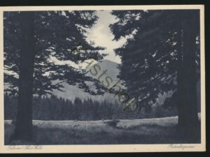 Tabarz - Rotenbergniese [005-5744