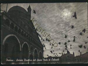Padova - Scarcio Basilica del Santo Valo di Colombi [005-5845