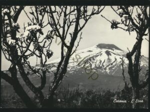 Catania - L'Etna [005-5925