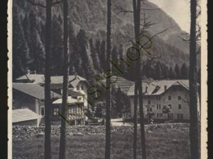 Val di Stava - Trentino [005-6108