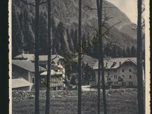 Val di Stava - Trentino [005-6109