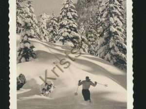 Grolsch - Wintervorst [005-6129