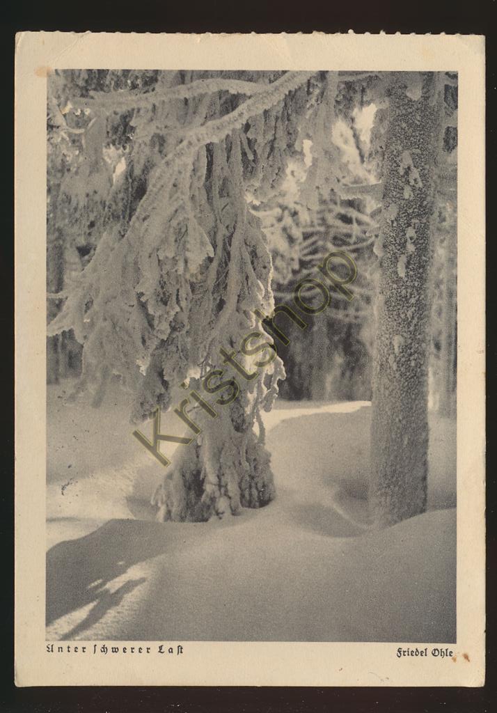 KRST005-6162_0.jpg Unter Schwerer Last - foto Friedel Ohle [005-6162