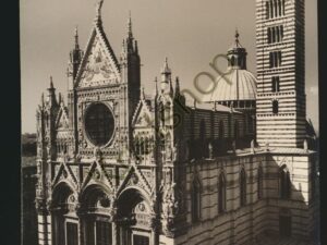 Siena - La Cattedrale [005-6252