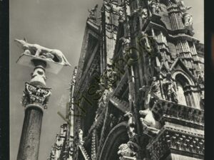 Siena - Particolare del Duomo [005-6253