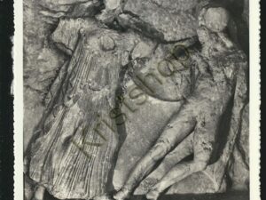 Palermo - Museo Nazionale [005-6289