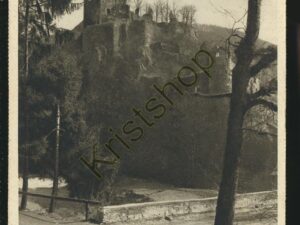 Manderscheid - Niederburg [005-6295