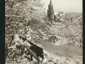 Weida - Blick zur Osterburg - Frohe Weihnachten [005-6299