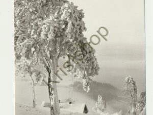Frohe Weihnacht [005-6312