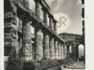 Paestum - Tempio di Nettuno [005-6323
