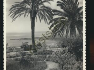 Taormina - Giardino S Domenico [005-6347