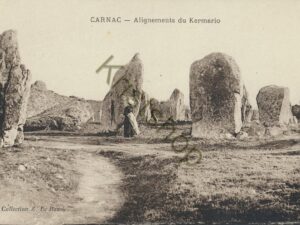 Carnac - Alignement du Kermario [005-6664