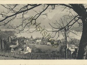Lac d'Annecy [005-6672