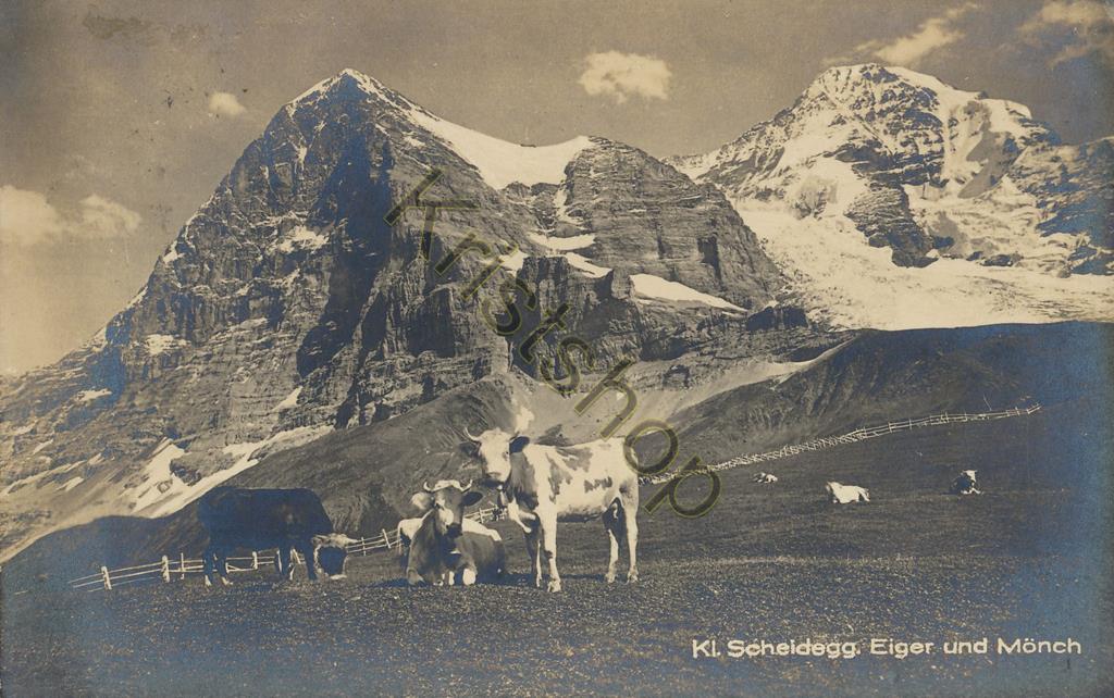 KRST005-6718_0.jpg Kl Scheidegg, Eiger und Mönch - Kuhe [005-6718