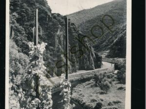 Neuenahr [005-6953