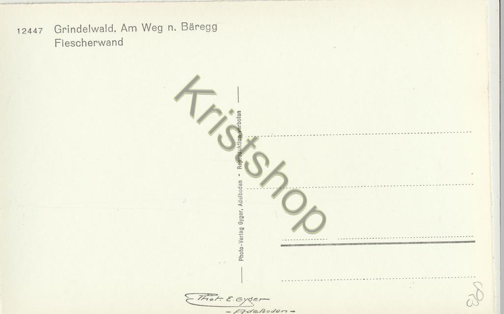KRST005-7038_1.jpg Grindelwald - Am Weg n Bäregg Fiescherwand [005-7038 - Afbeelding 2