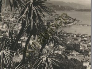 Monte Carlo [005-7053