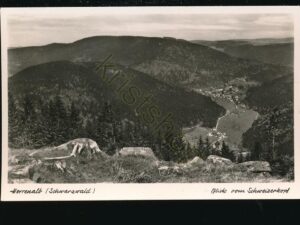 Herrenalb - Blick vom Schweizerkopf   [006-0037