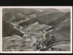 Hammereisenbach im bad Schwarzwald   [006-0046